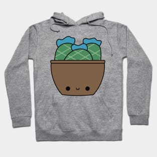 Cute Kawaii Cactus In Brown Pot Hoodie